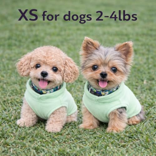 Dog Fleece Sweater with Leash Ring (XS (2-4lbs) / Mint Green)