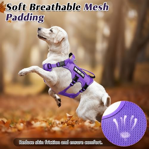 Escape Proof Dog Harness with Double Handle+4 Removable Patches (Medium / Purple)