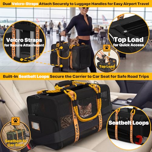 Expandable Pet Carrier for Small Cats & Dogs (18.0"L x 11.0"W x 11.0"H / Black Warrior)