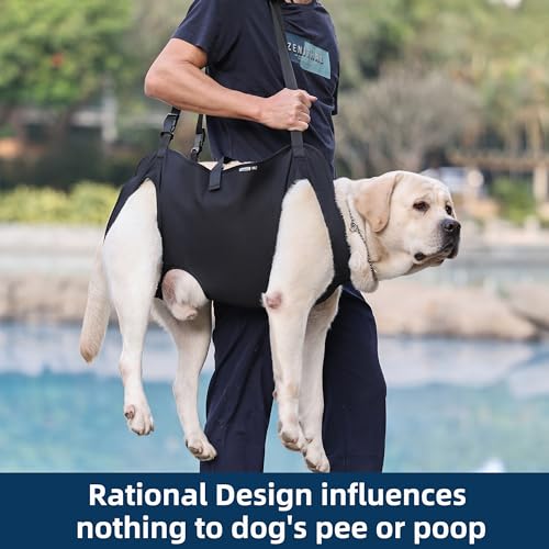 Dog Lift Harness (XL)