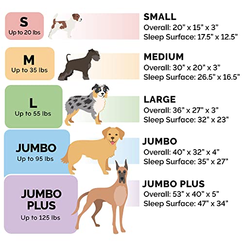 Orthopedic Dog Bed for Large (Large / Dark Sage)