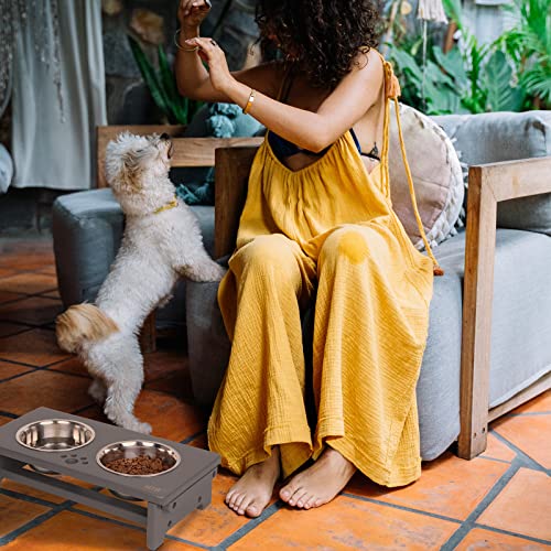 Elevated Dog Bowl Stand with 2 Stainless Steel Bowls (small-4“tall,21 Oz bowl / Grey)
