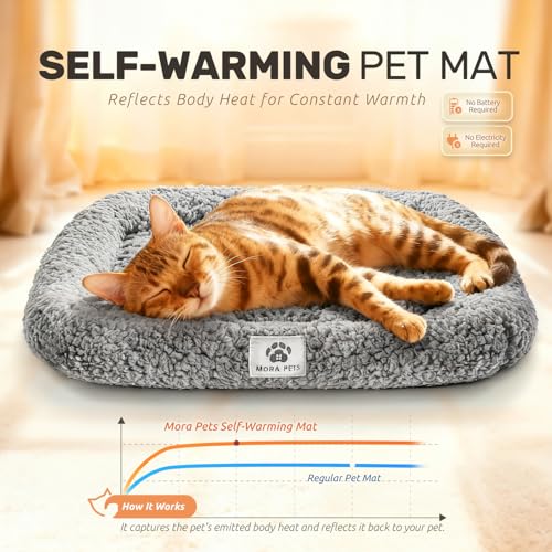 Self Warming Cat Bed Self Heating Pet Pad with Bolster and Foam (20"L x 17"W x 3"Th / Grey)