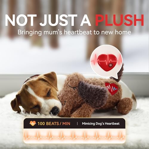 Heartbeat Dog Toy for Puppy