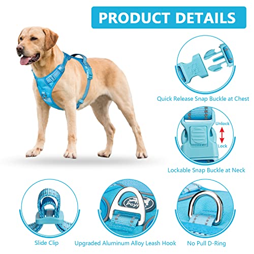 No Pull Dog Harness (S / Blue(Matching Trim))