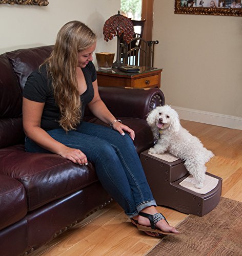 Easy Step II Pet Stairs (Chocolate 2023)
