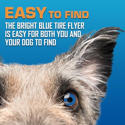 Tire Flyer Outdoor Dog Toy (Blue / 10 Inch)