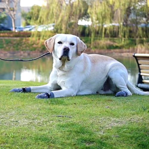Dog Socks for Hot (Leopard Grey / Large (4 Pack))