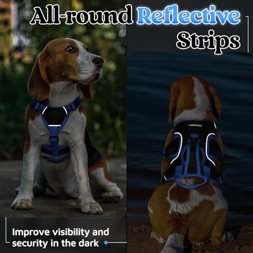 Escape Proof Dog Harness for Small (Blue & Black / Small)
