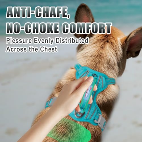 Dog Harness for Small Sized Dog No Pull Dog Vest ID Tag Pocket (Ocean Blue / Small)