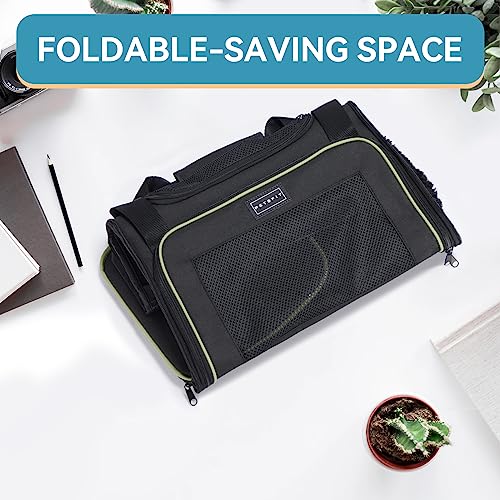 Pet Carrier Airline Approved with Extendable Mat (Medium / Black)