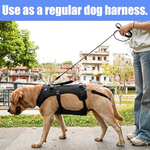 Dog Lift Harness for Large Dogs (Black / XXL)