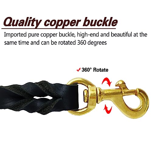 Leather Dog Leash 6ft x 1 (6 ft x 1/2 inch / Black)