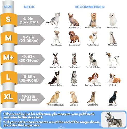 Upgraded Inflatable Dog Cone Collar with Transparent Anti (L (Neck: 15-18") / Grey)