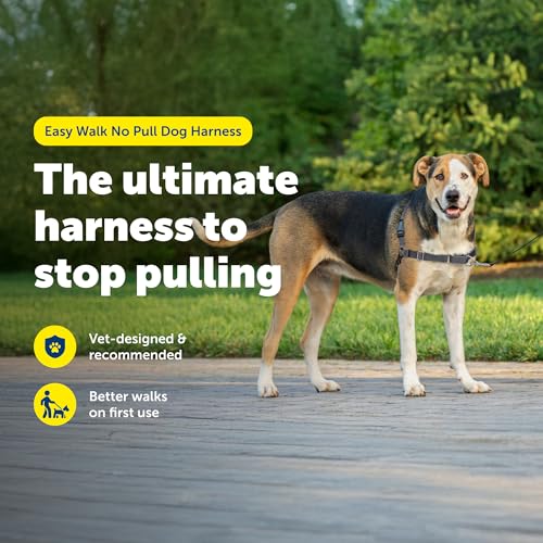 Easy Walk Harness (X-Large / Charcoal/Black)