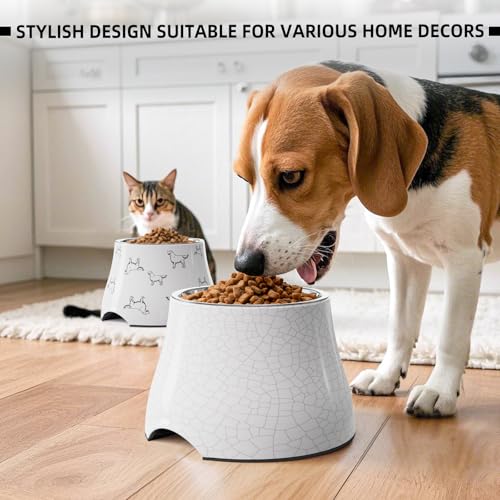 Elevated Dog Bowls with Stainless Steel Bowl (White-Crackle / L/3 Cups)