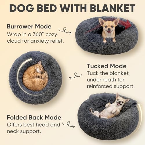 Dog Beds for Small Dogs (20.0"L x 20.0"W x 7.0"Th / Grey)