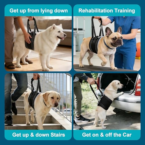 Dog Sling Adjustable Dog Lift Harness for Rear Legs (Large)