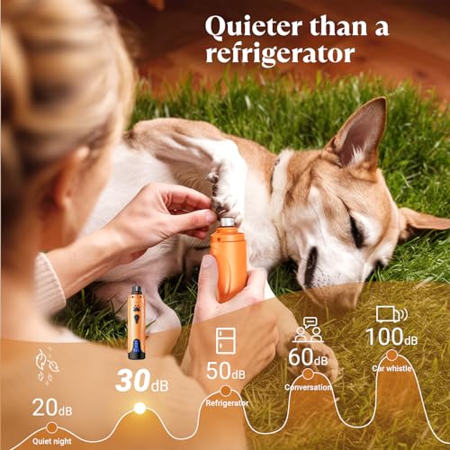 Dog Nail Grinder (Summer Orange)