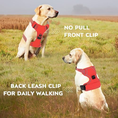 Dog Harness for Medium Sized Dog with Leash (Red / M)