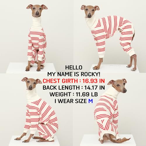 D Doggy Star Italian Greyhound Clothes Soft Stretchy Onesie Refined Stripe Outfit Whippet for Dog Coat (XL / Onesie Red Stripe)