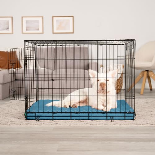 Orthopedic Dog Bed (Large / Lagoon)