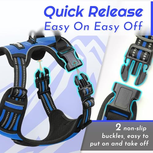 Dog Harness for Small Dogs (Small / Blue)