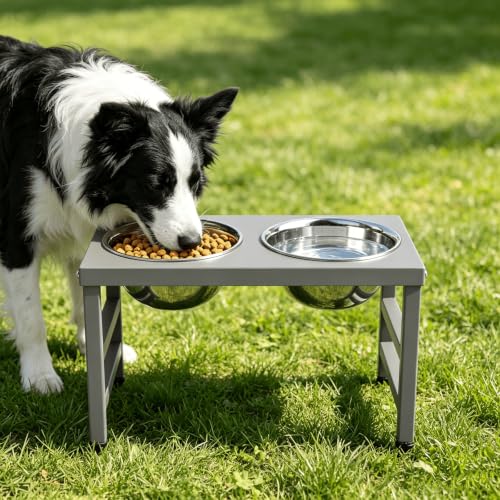 10'' Metal Raised Dog Bowl Stand (Grey-L, Dog Mat / Height:10inch)