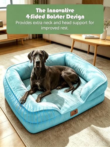 Orthopedic Dog Bed with Sides (53.0"L x 42.0"W x 8.0"Th / Ice Blue)