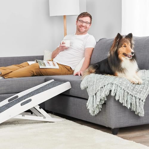 Carlson 39.5" Indoor Pet Ramp
