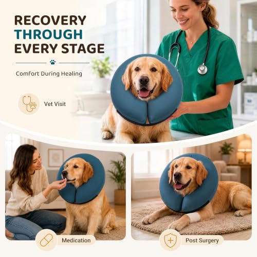 Inflatable Dog Cone (Blue / XL(21"-24"))