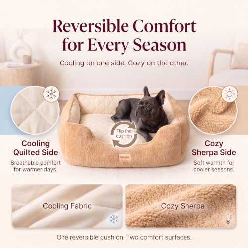Cooling Orthopedic Dog Bed for Large Dogs (Tan / 47"L × 37"W (L))