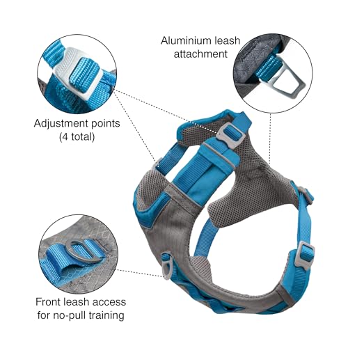 Journey Air Dog Harness (Medium / Coral)
