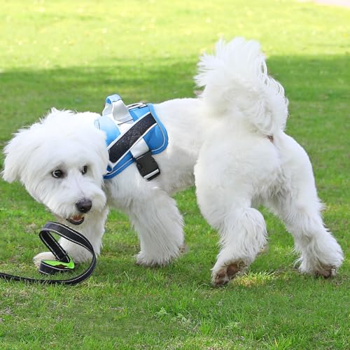 Dog Harness No (Medium (Pack of 1) / BluePool)