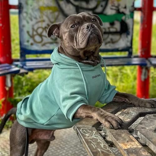 Dog Hoodie Buttery (Teal / XX-Large)