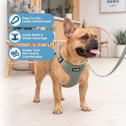 Voyager Adjustable Step (Harness Leash Set (Moss Green) / S)