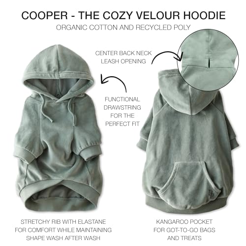 Cooper II Dog Hoodie (Sage / XXX-Small (up to 5lbs))