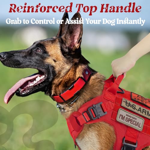 Tactical Dog Harness for Medium (Red / Medium)