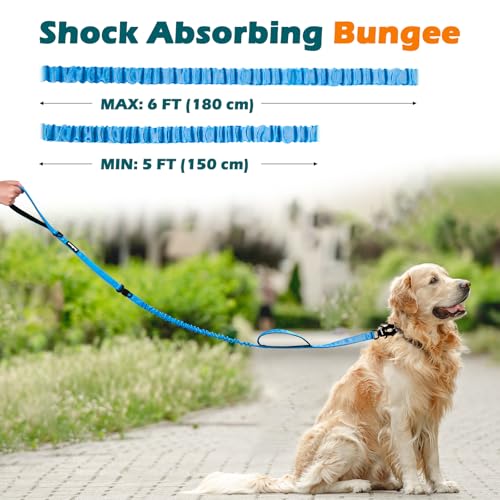 Heavy Duty Tactical Dog Leash (Light Blue)