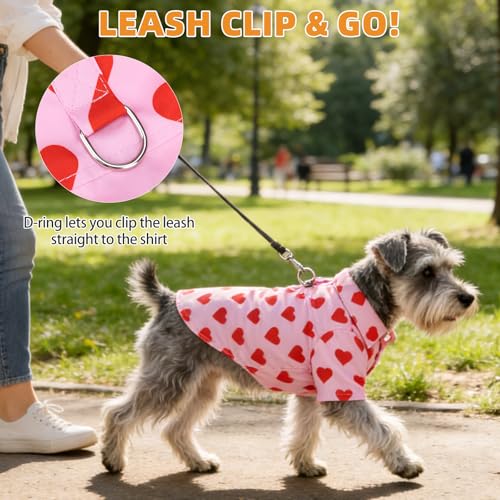 Valentine's Dog Shirt with Leash D (Medium / Pink Heart)