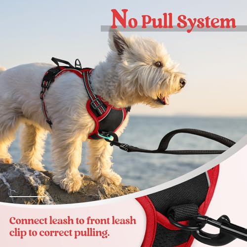 Dog Harness No Pull for Small Dogs with 2 Leash Clips (X-Small / Black & Red)