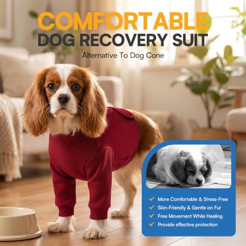 Dog Surgery Recovery Sleeve Front Legs (Medium / Burgundy)