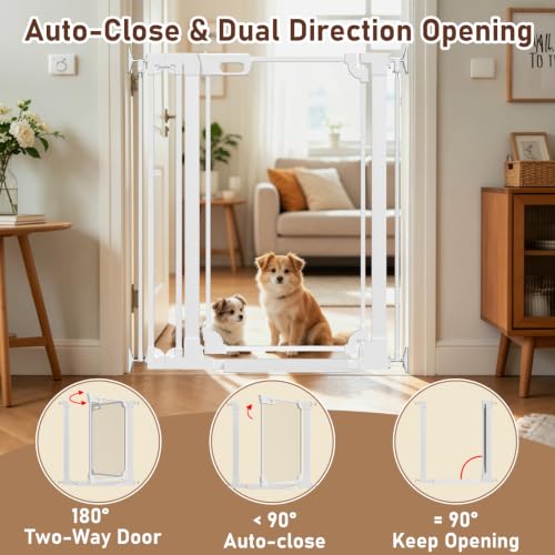 40" Extra Tall Clear Acrylic Dog Gate 29.52 (White / 29.52-37.79"W x 40"H)