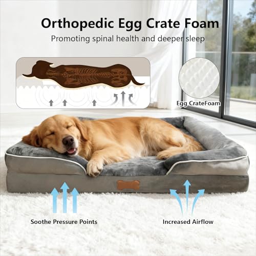 Orthopedic 3 Sided Dog Bed (Medium)