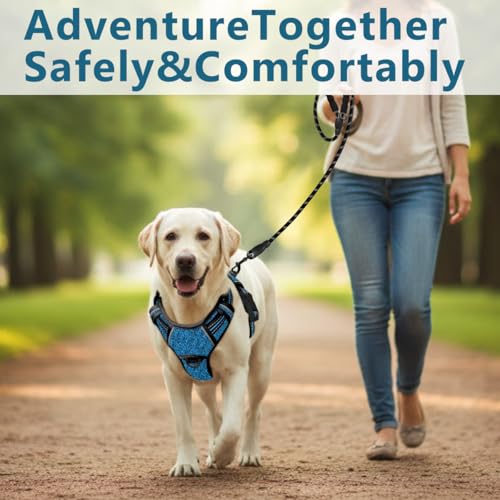 No Pull Dog Harness for Large Dogs (Large(Chest:24.5-32.5") / Blue/Black)