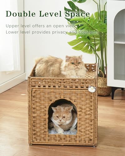 Cat Beds for Indoor Cats Extra Large Double Cat Cave (Natural / Rectangle-XL)