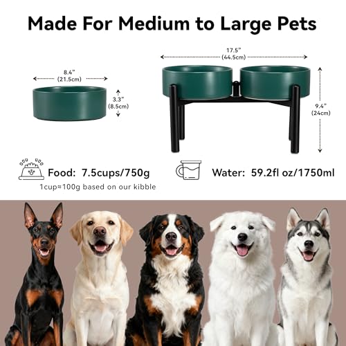 Raised Ceramic Dog Bowl Set with Stand (Green / 2 Bowls - 7.5 Cups Each)