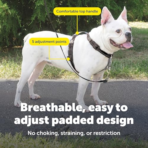 3 in 1 No Pull Dog Harness (Black / Small (Pack of 1))