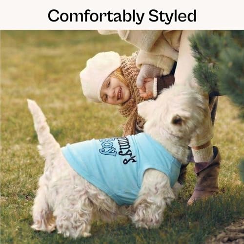 Dog Shirt Mommy’s Boy Pet Shirt (XX-Small (1-3lbs))