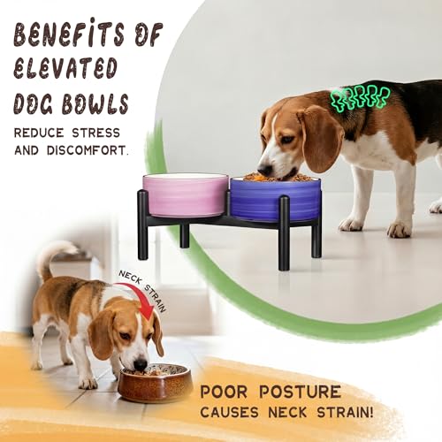 Ceramic Elevated Dog Bowl Set (Thread red+green / 3.5 Cups)